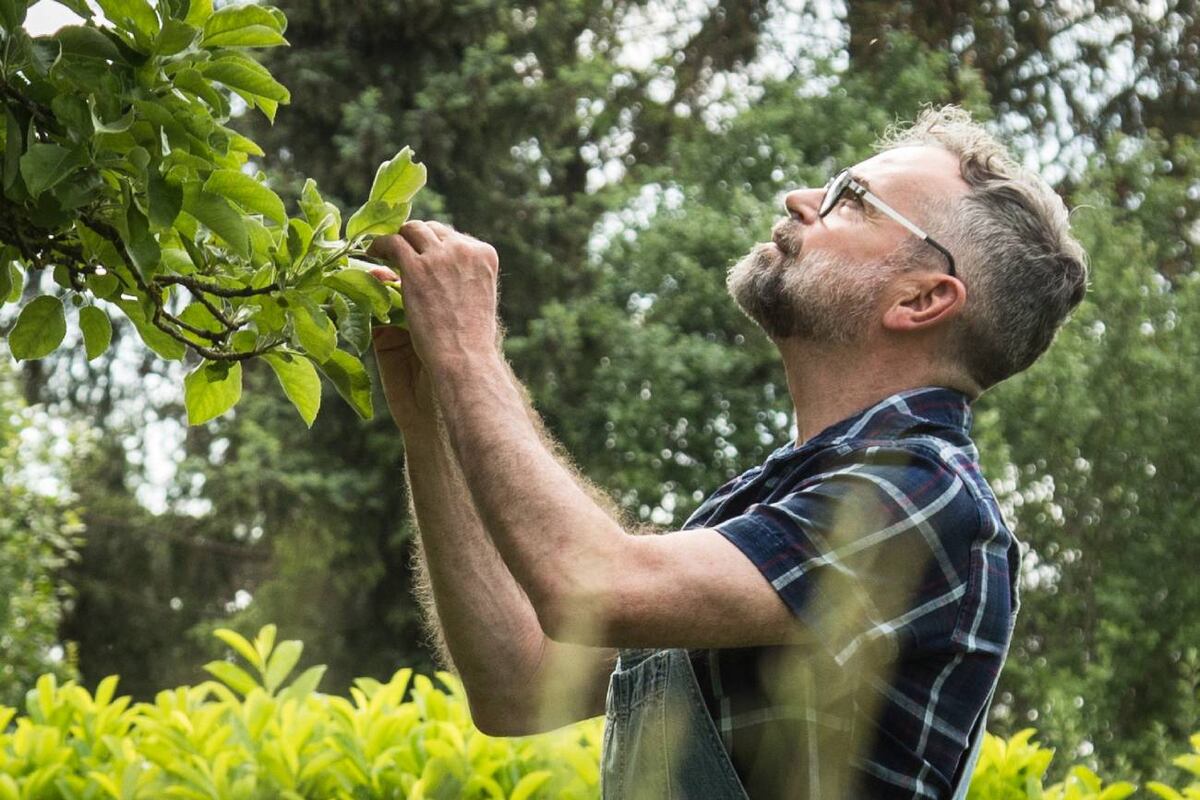 7 trucos de jardinería para empezar ahora para tener plantas increíbles en otoño
