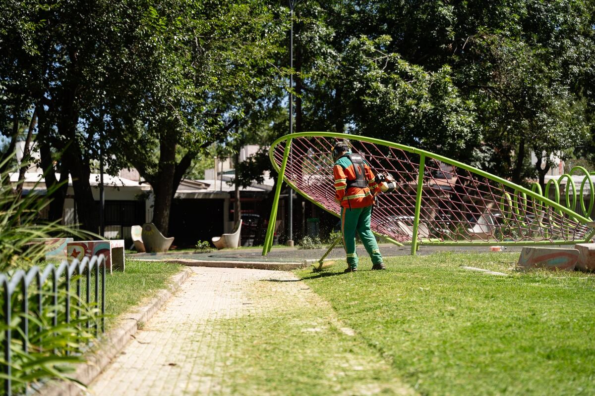 Los espacios verdes de la ciudad recuperan su estado habitual tras las lluvias.