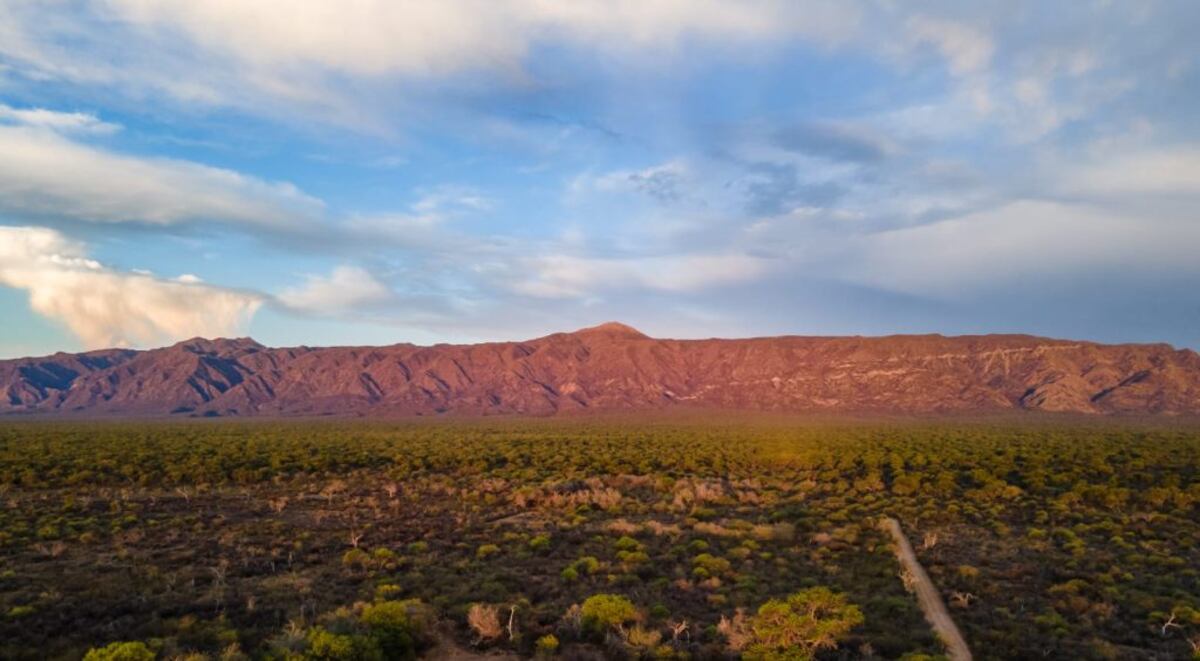 Reserva Chancaní. (Agencia Córdoba Turismo)
