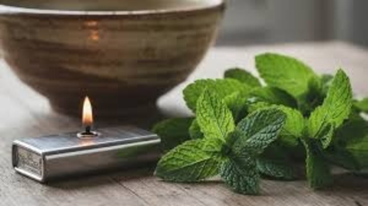 El truco casero poco conocido que purifica el ambiente y renueva la energía de tu hogar