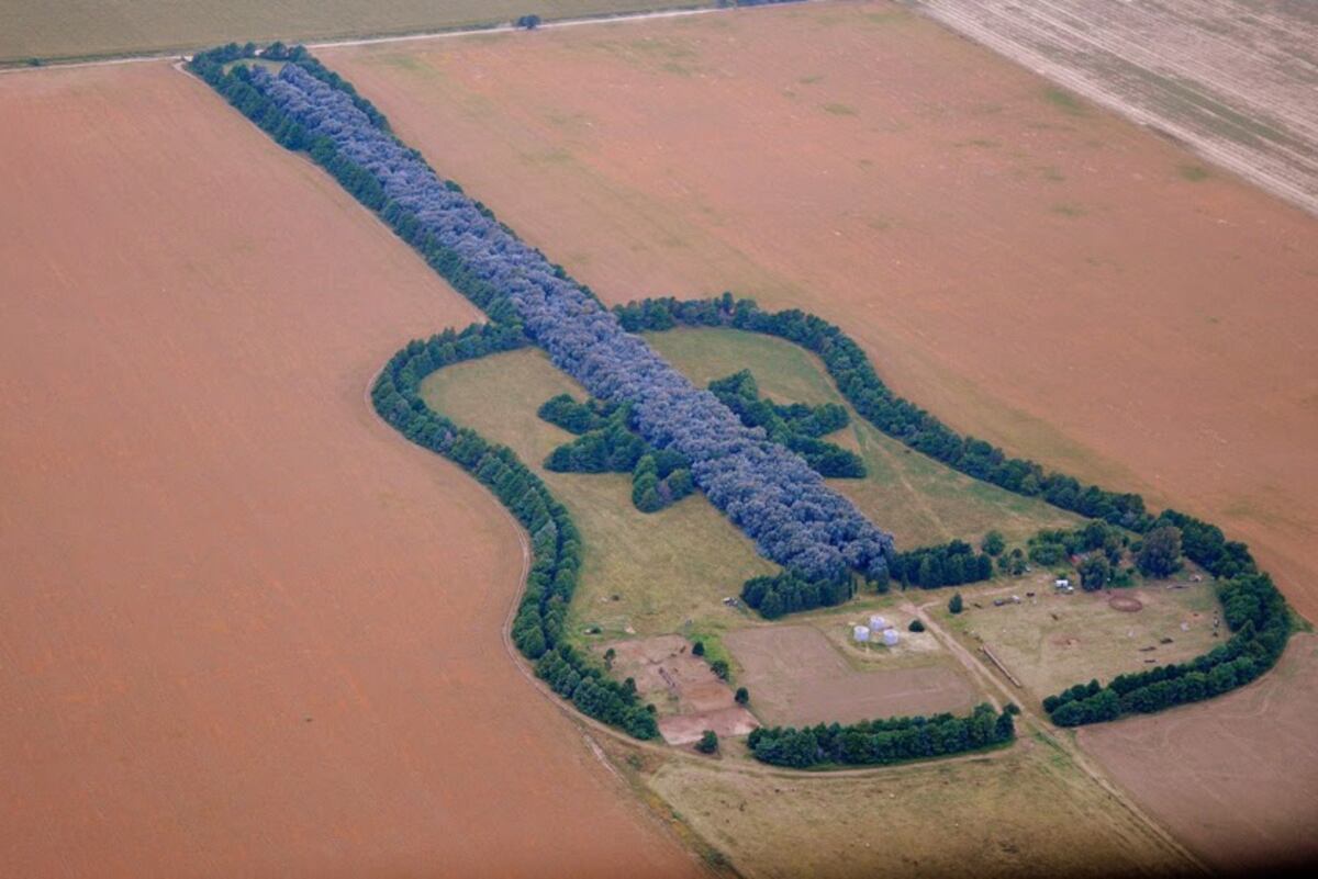 La Guitarra de Árboles se construyó en General Levalle, Córdoba. Fue el homenaje de Pedro Utera a su joven esposa que falleció. (Estancialaguitarra.blogspot.com)