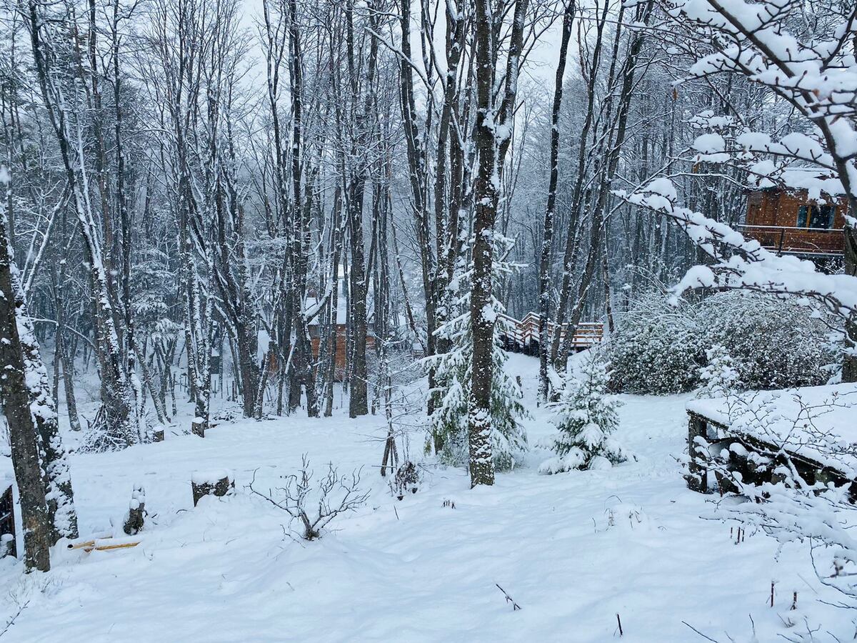 Postales de la última nevada en Ushuaia. (Gentileza Guillermo Worman)