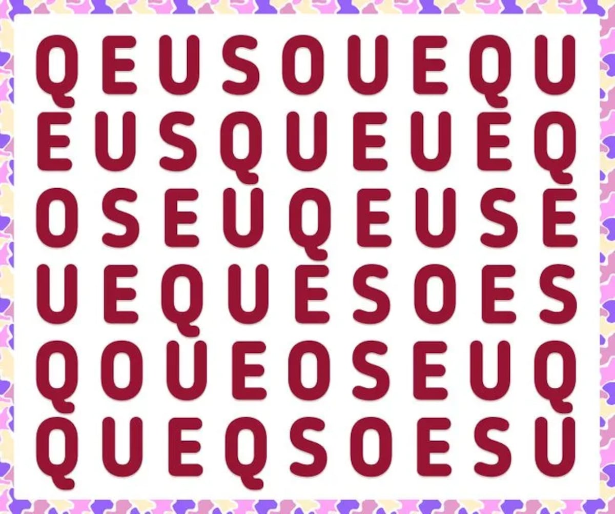 El acertijo visual.
