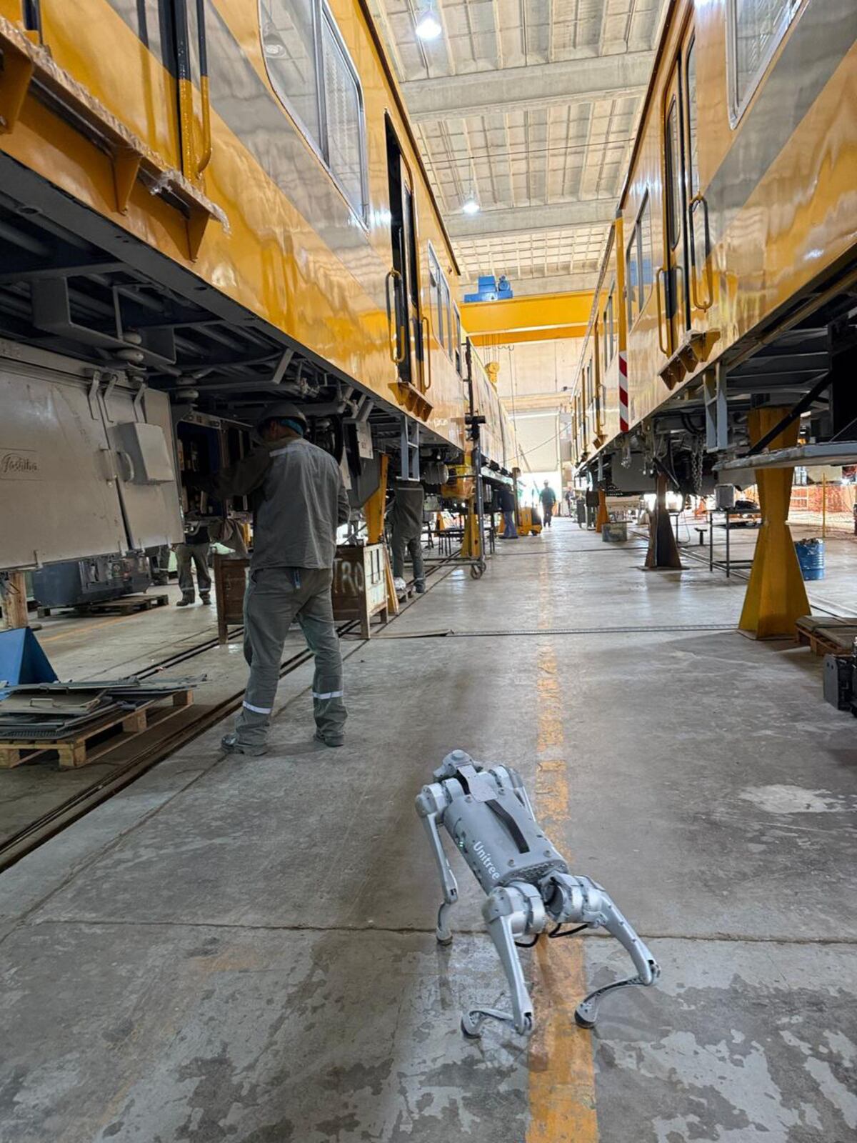 EN ACCIÓN. Un robot cuadrúpedo durante una prueba en las instalaciones de BRf, en Córdoba. (Gentileza AiphaG)
