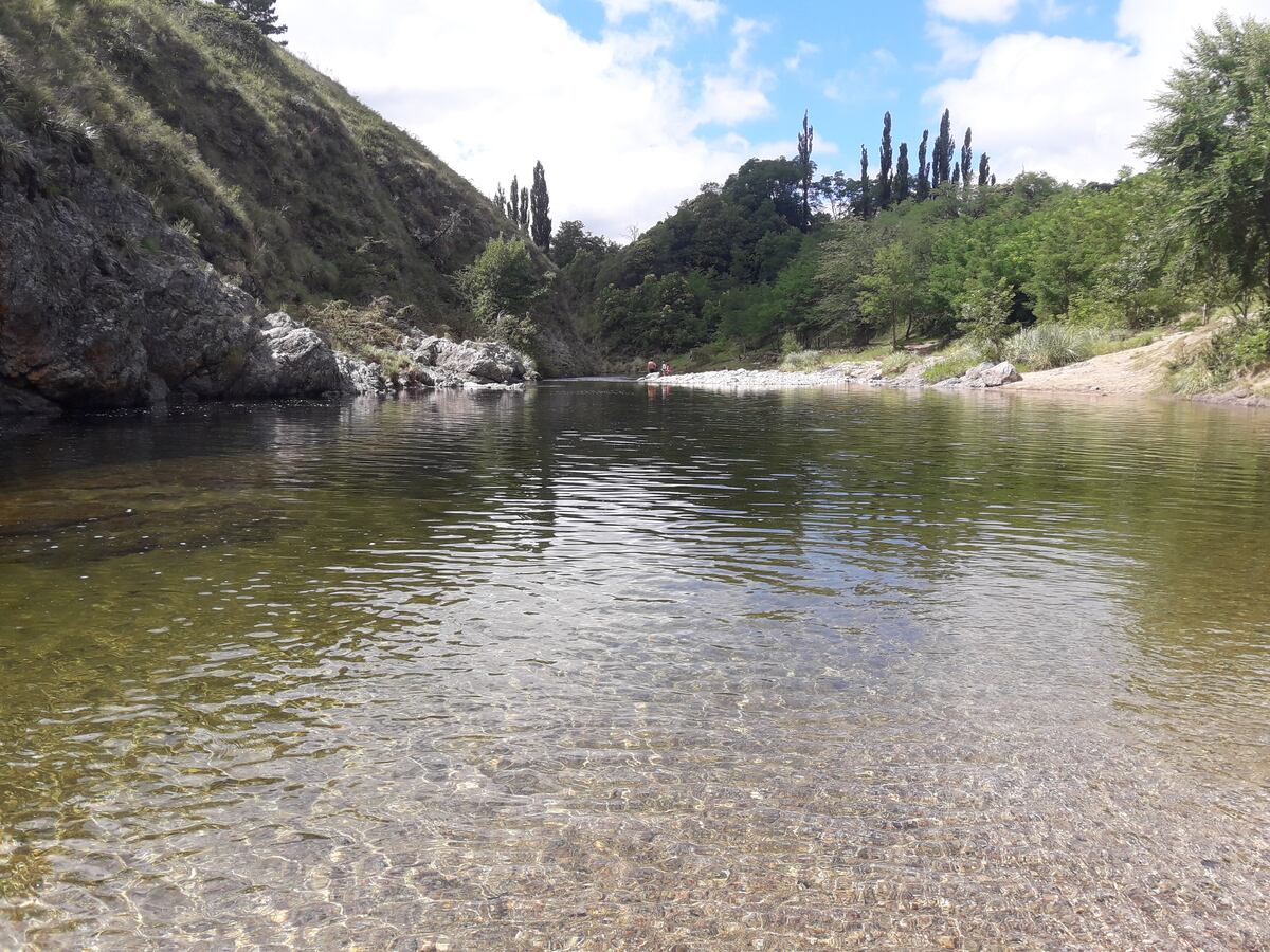 Imagen de la nota
