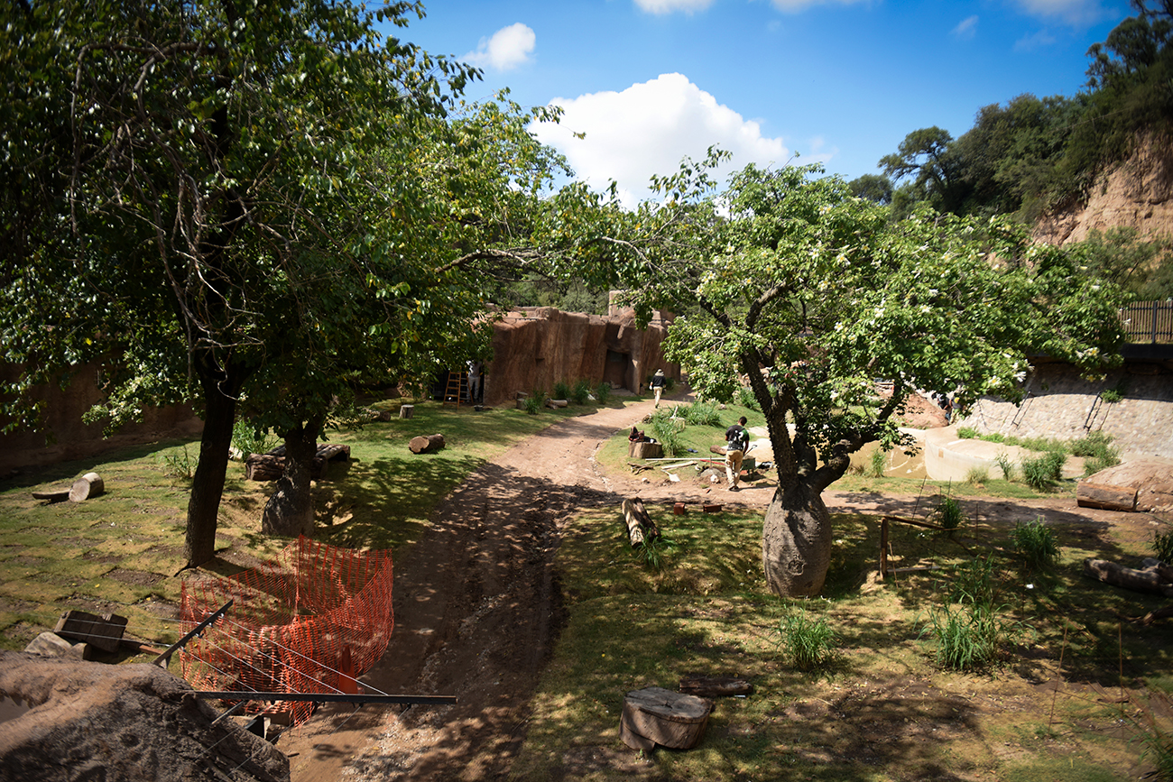 Parque de la Biodiversidad, ya está listo el recinto nuevo de los osos. (José Gabriel Hernández / La Voz)
