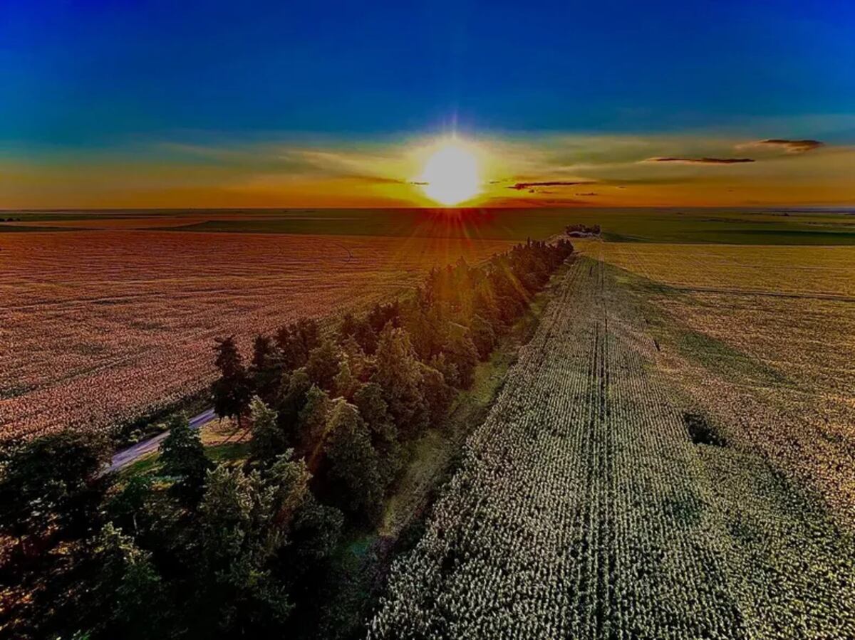 AMBIENTE. La combinación de prácticas de agricultura regenerativa con la producción de granos comenzó a mostrar resultados en el plano comercial.