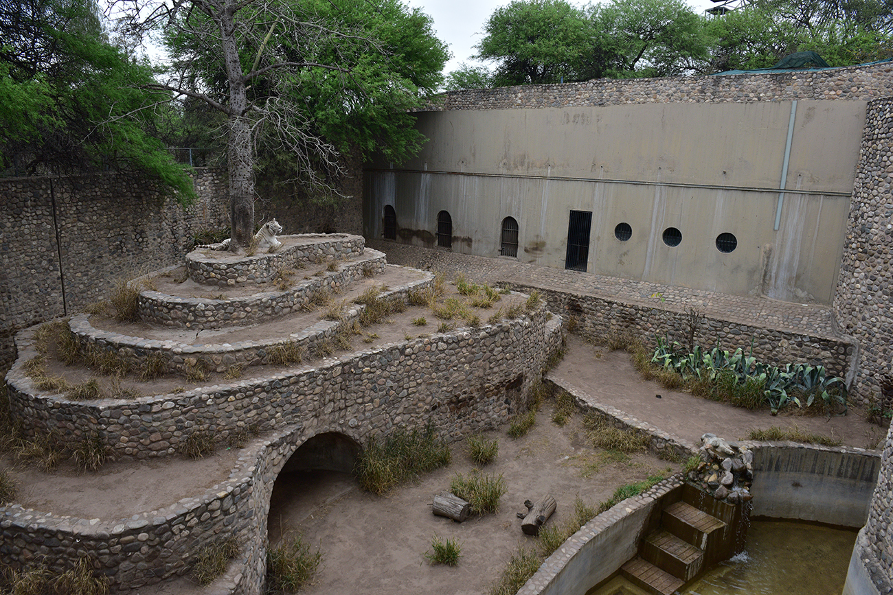 Así es el recinto de los tigres blancos, en el sector oeste del Parque de la Biodiversidad. (José Gabriel Hernández / La Voz)