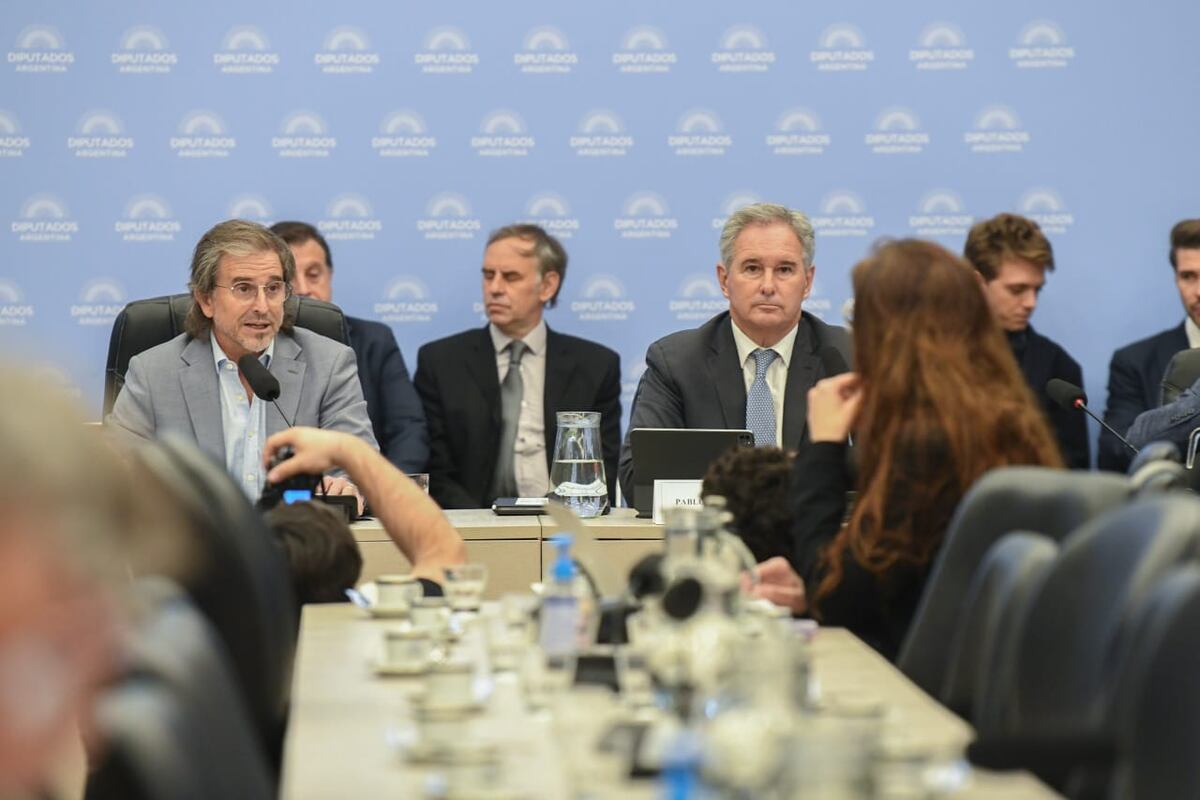 El exsecretario de Finanzas y actual canciller Pablo Quirno en la Comisión de Presupuesto y Hacienda de Diputados (Foto: HCDN)