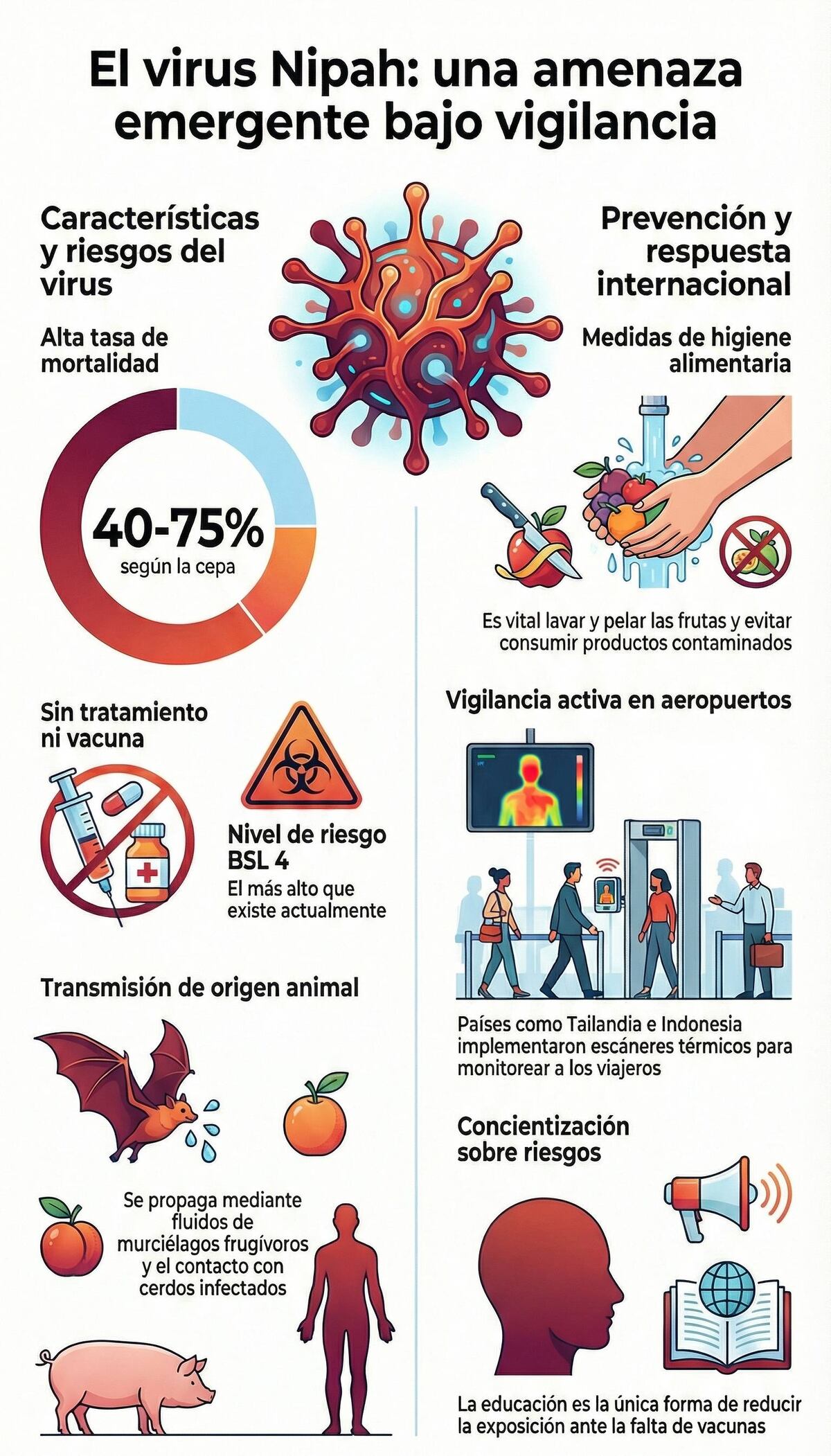 Alerta en India y otros países por el virus Nipah. Controles en aeropuertos. (AP)