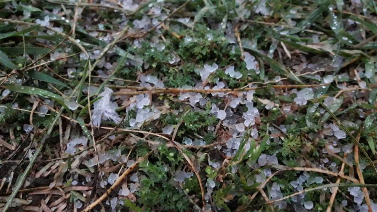 GRAUPEL. (Fabricio Díaz)