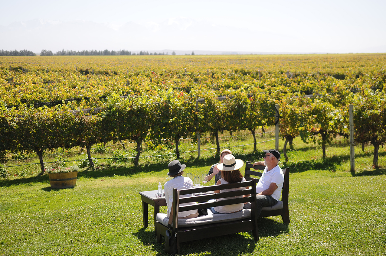 Un recorrido por los mejores viñedos y bodegas de la Argentina, para el Día del Vino: Andeluna. (Foto: Javier Ferreyra)