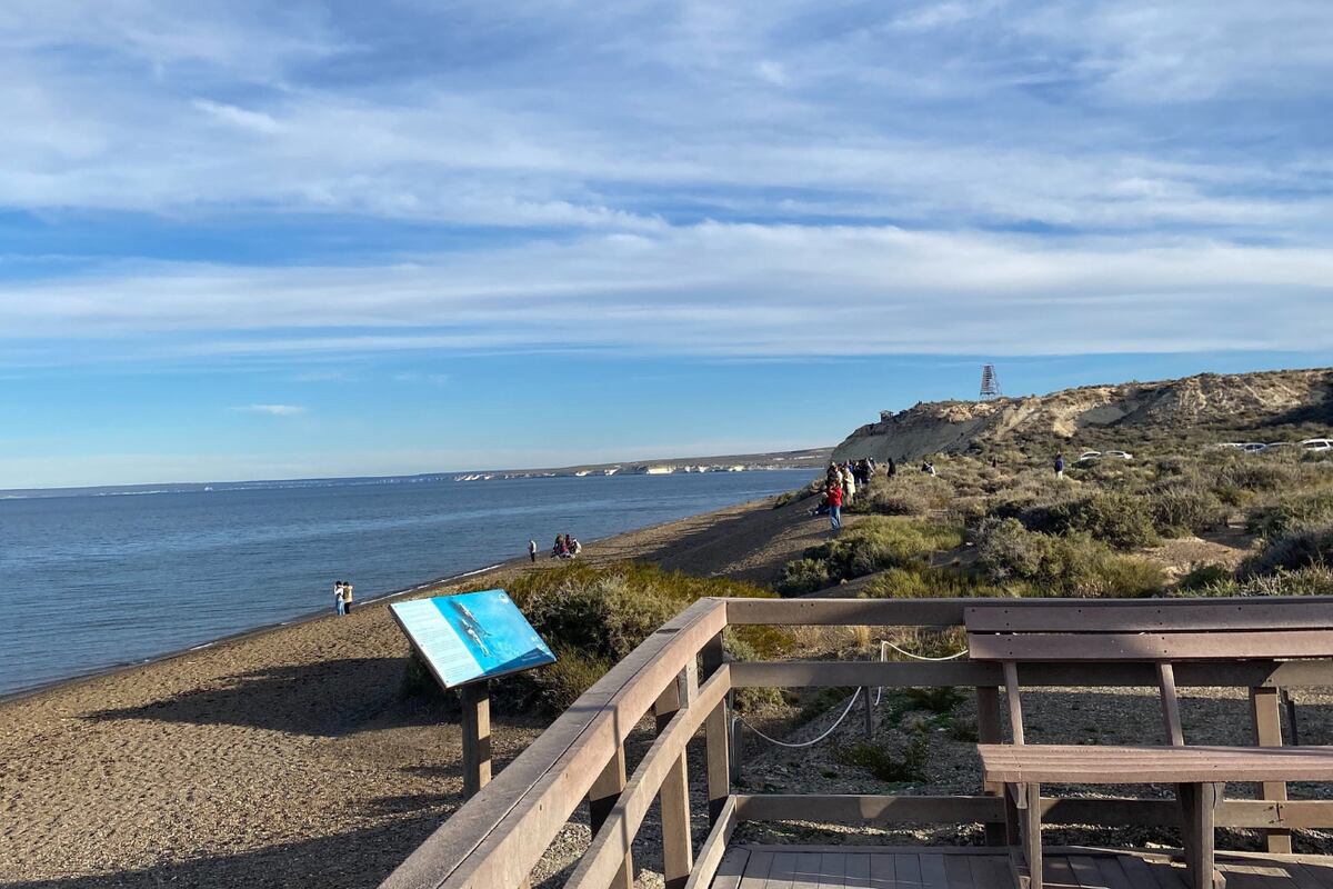 En un rincón del sur argentino, esta playa se presenta como un paraíso natural con experiencias únicas, que van desde el avistaje de ballenas hasta caminatas por paisajes vírgenes.