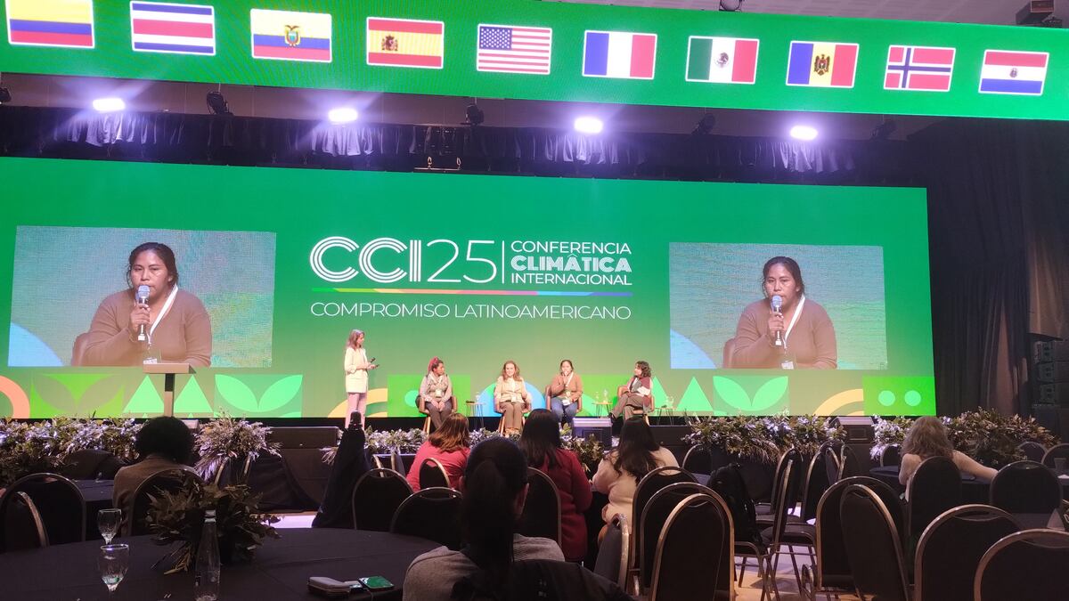 Ibel Idiarte, representante de "Qomlashepi Onataxanaxaipi" durante la Conferencia Climática Internacional en Córdoba. (Gentileza)