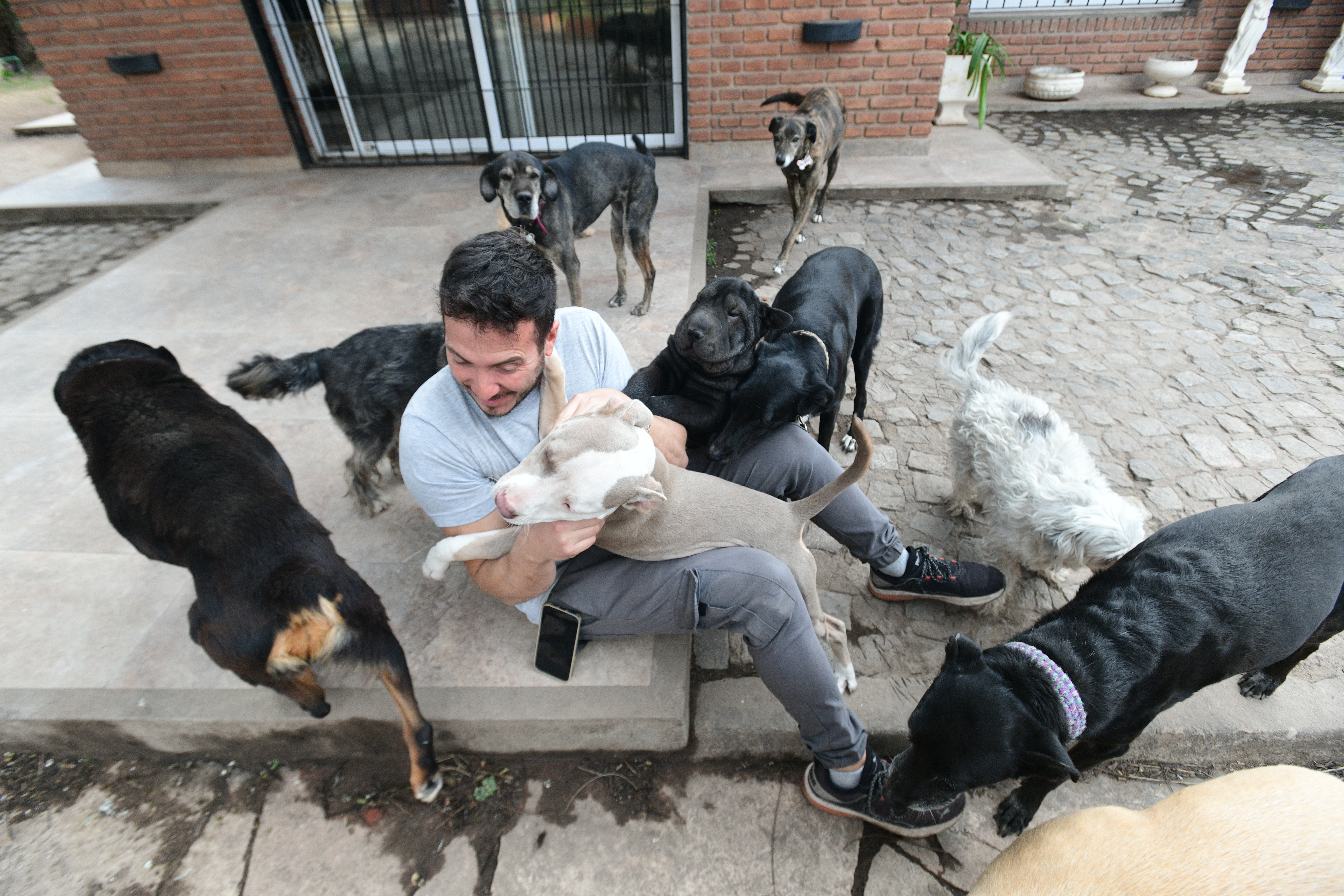 Maximiliano Canziani
Presidente de la Fundación Proyecto Animal que se dedica a rescatar perros, curarlos y conseguirles hogar. (Javier Ferreyra / La Voz)