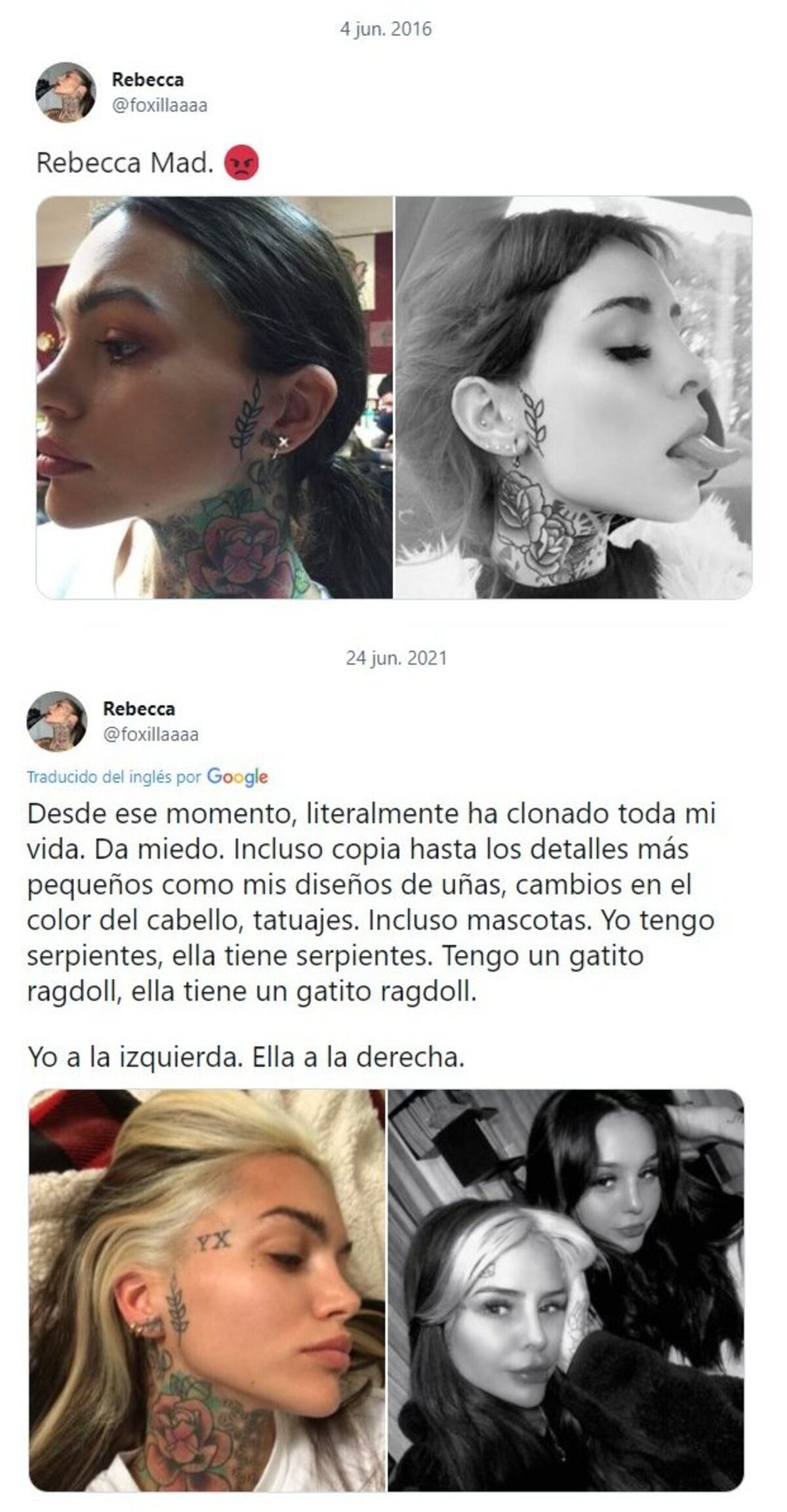 Tuit de Foxilla