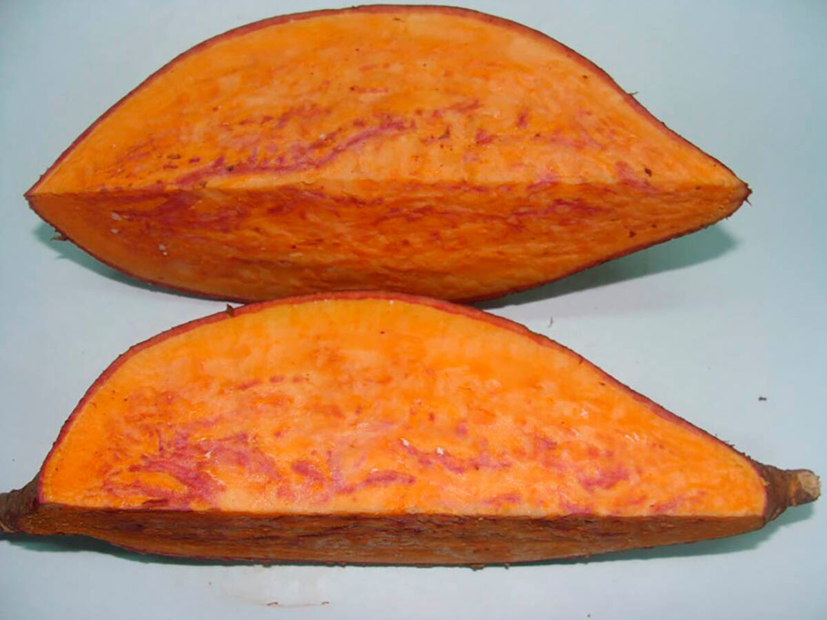 Batatas