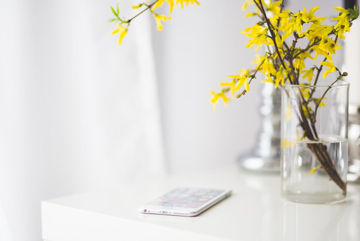 Hay que colocar vegetación con flores dentro del hogar. Foto: Pixabay / Grupo Edisur
