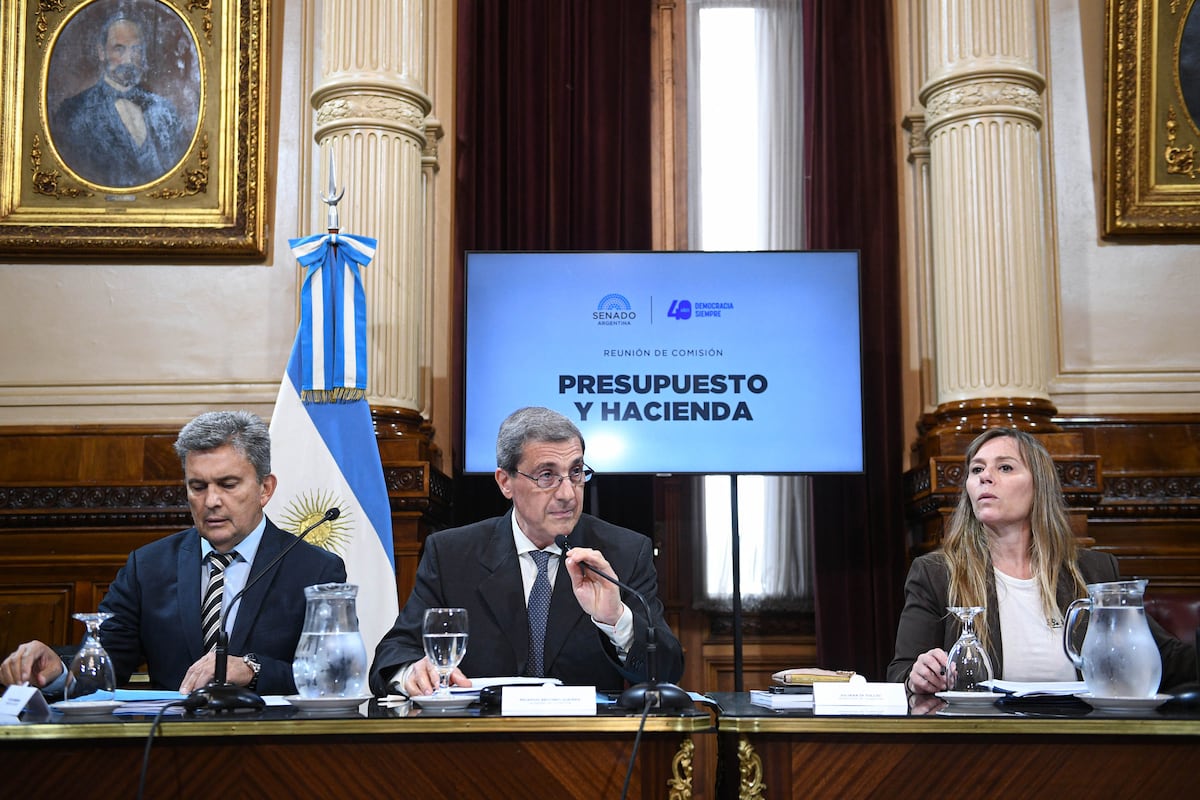 El oficialismo busca modificar el proyecto de créditos UVA que aprobó Diputados (Foto: Comunicación Senado)