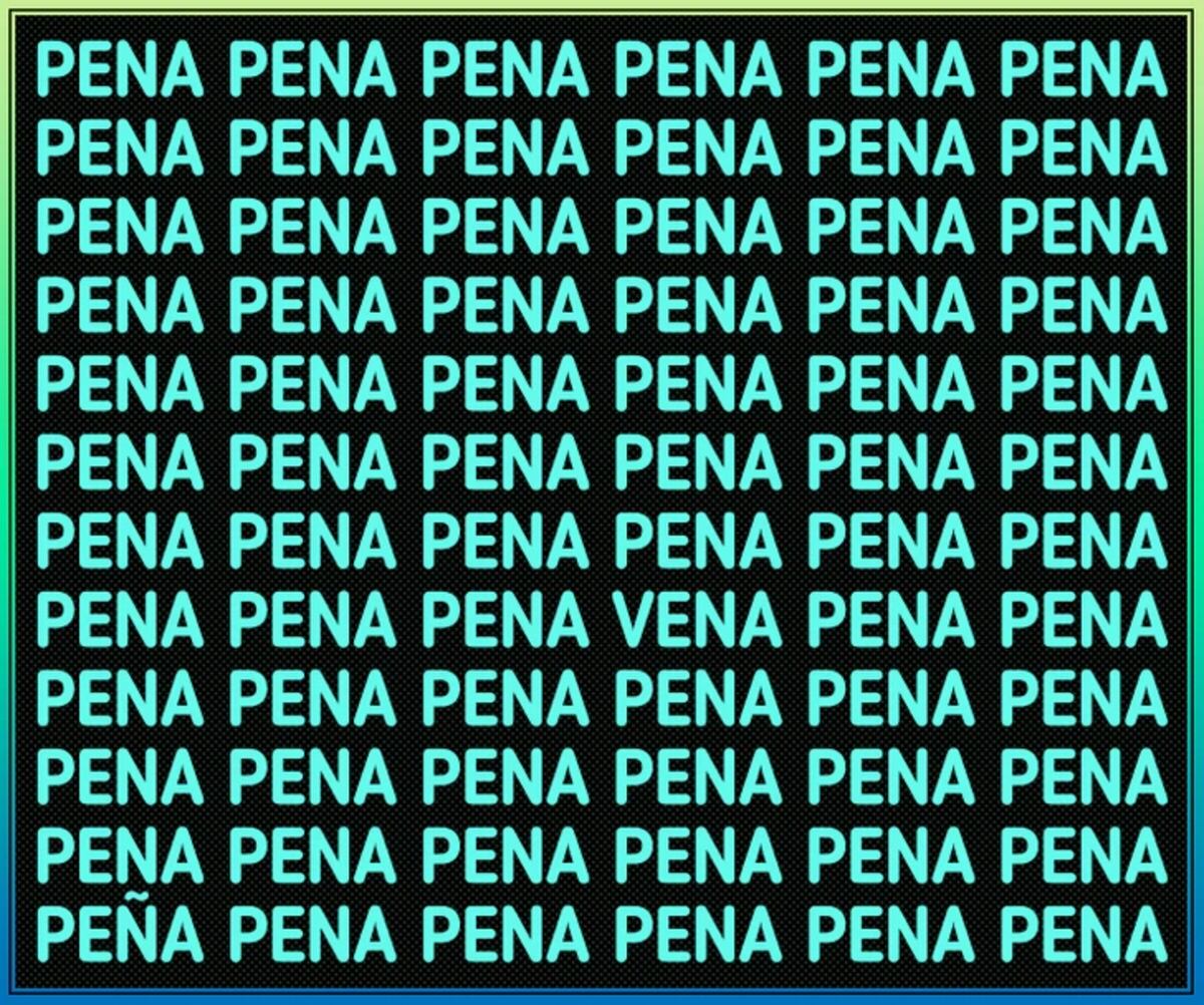 El acertijo visual.