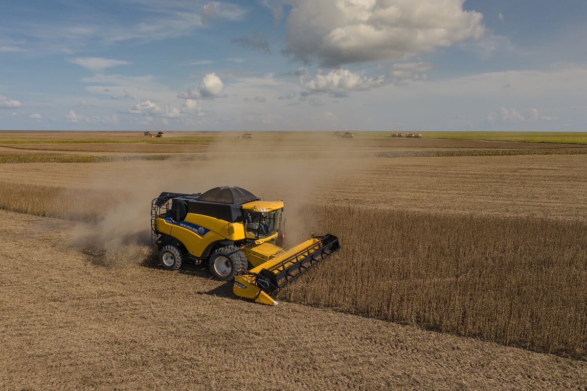 New Holland nacionalizó la producción de una línea de cosechadoras. (Gentileza New Holland)