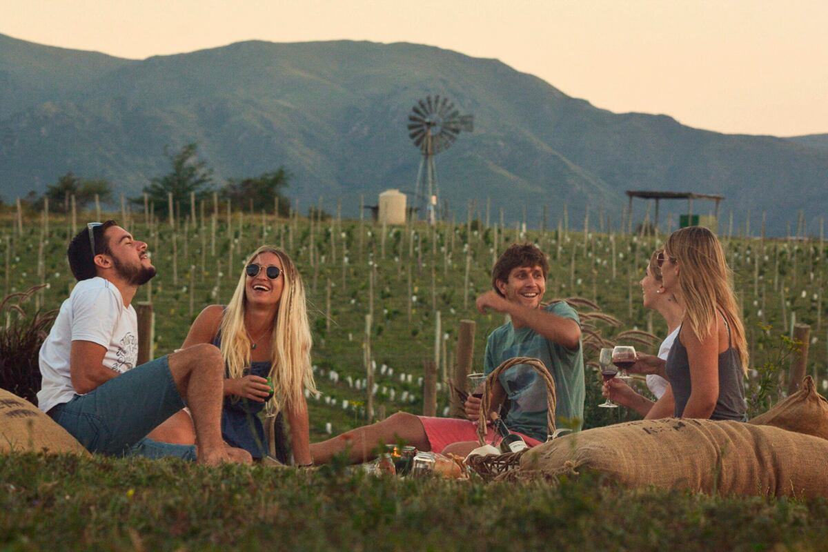 El nuevo vino cordobés. Una de las propuestas de Visit Córdoba para posicionar a la provincia como destino internacional. (Agencia Córdoba Turismo)