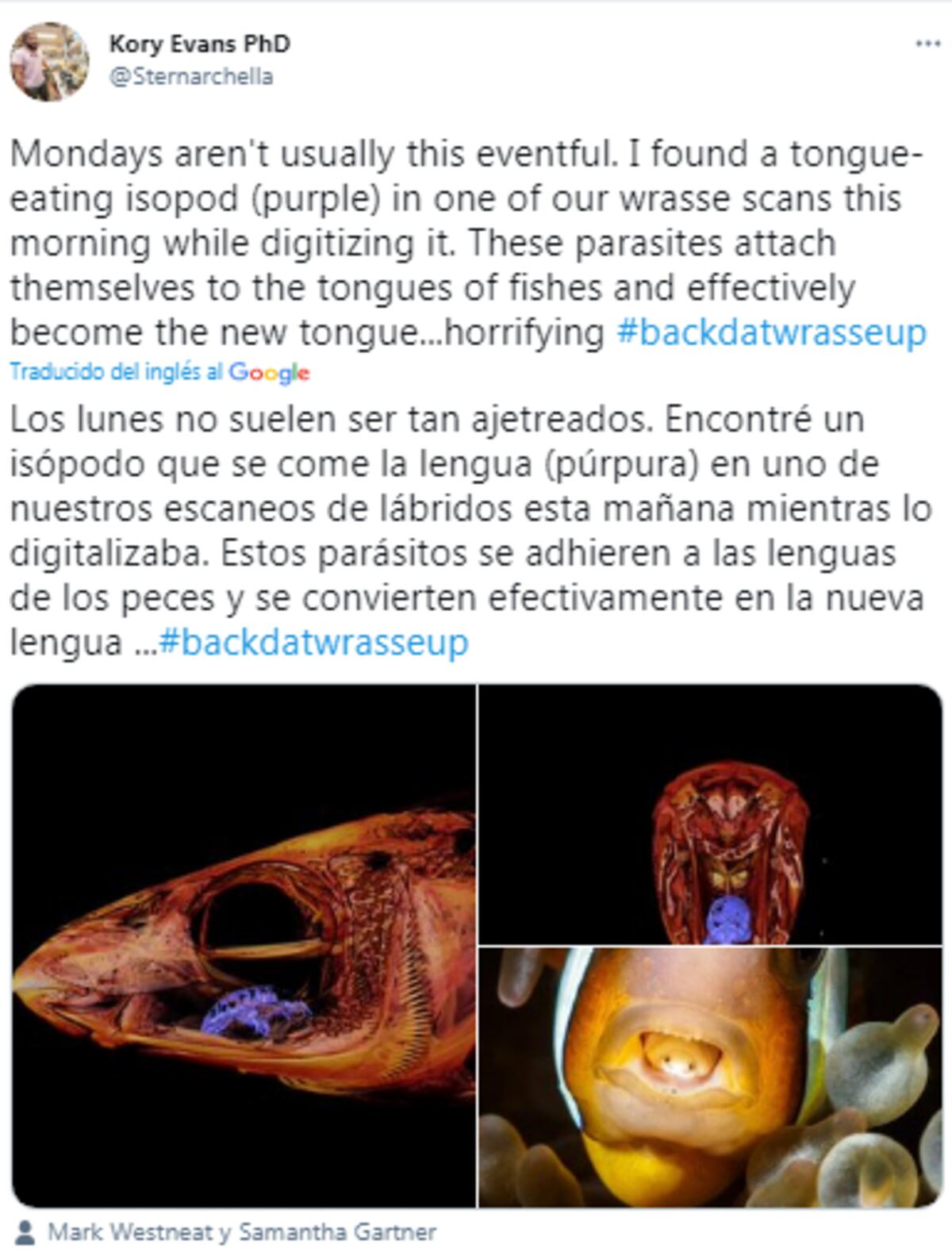 Imagen de la nota