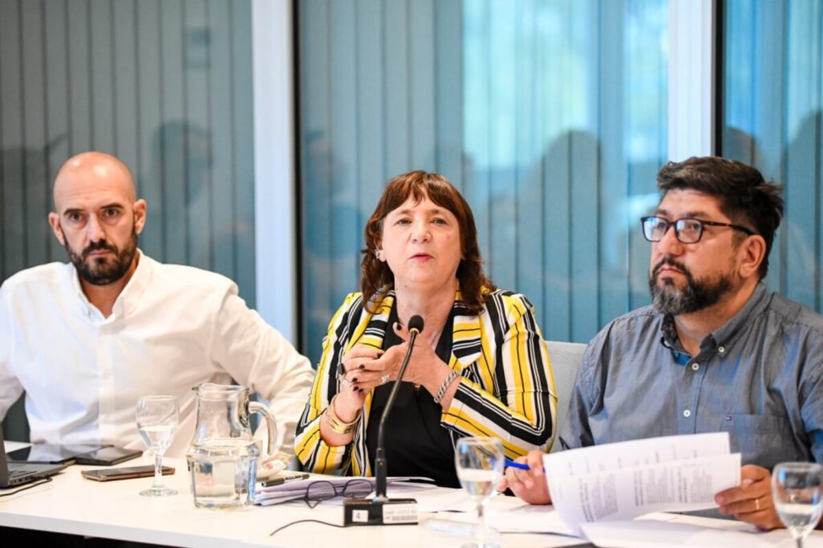 Funcionarios municipales expusieron a los concejales las características de los 12 convenios urbanísticos. En la foto, Celina Caporossi, directora de Planeamiento (Prensa Concejo Deliberante).