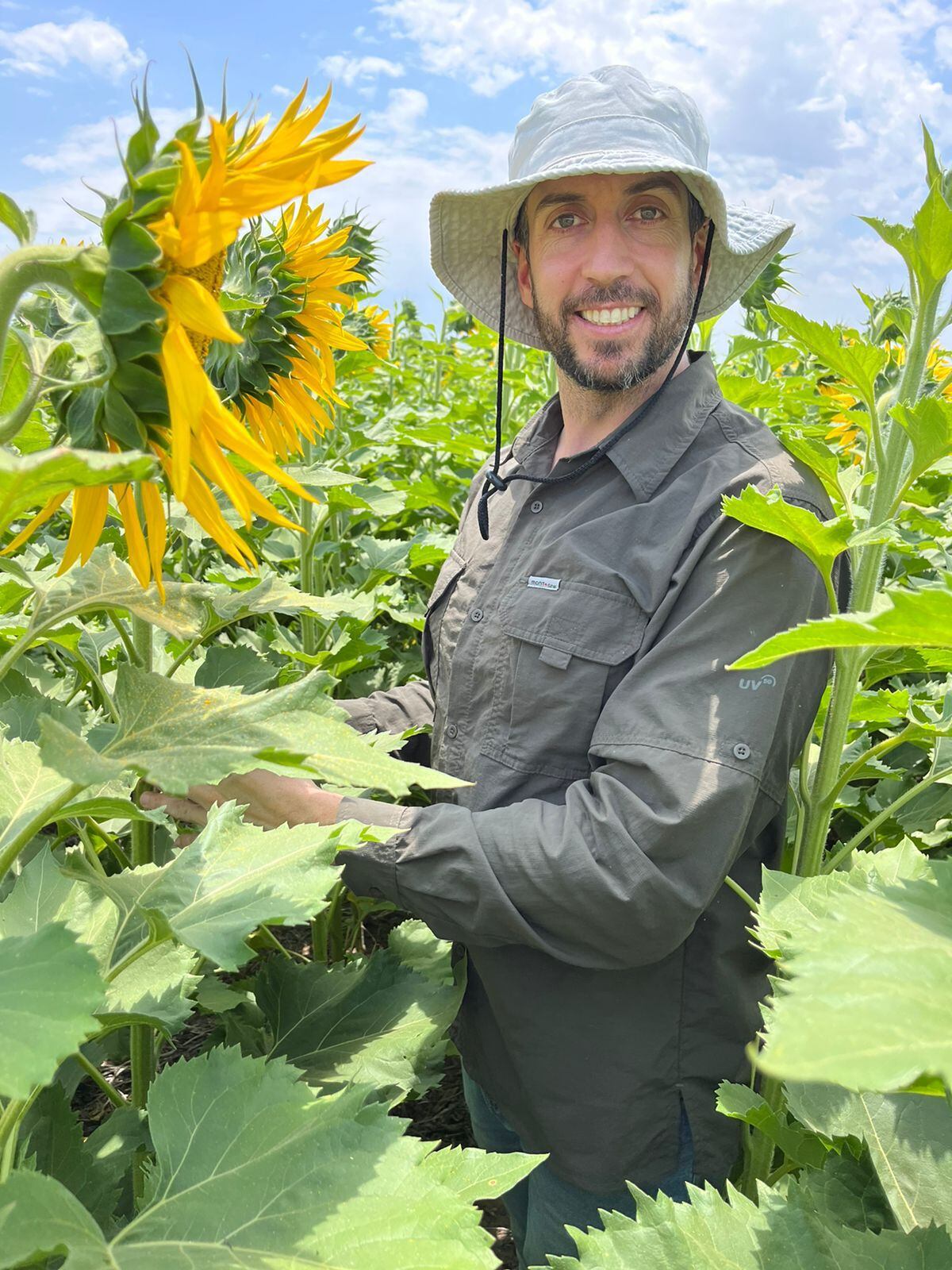 Martín Demarchi asesora a distintos establecimientos que desde 2015. Hoy recomienda el girasol. (Gentileza Martín Demarchi)