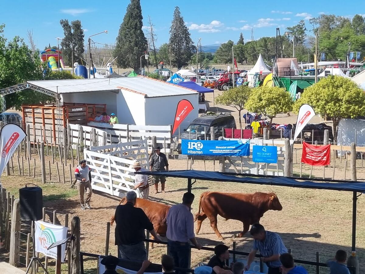 Expo Traslasierra 2025 (La Voz)