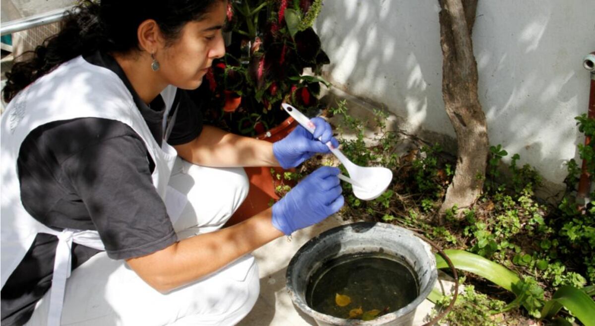 El personal visita casa por casa y asesora sobre medidas de prevención. (Foto Archivo)