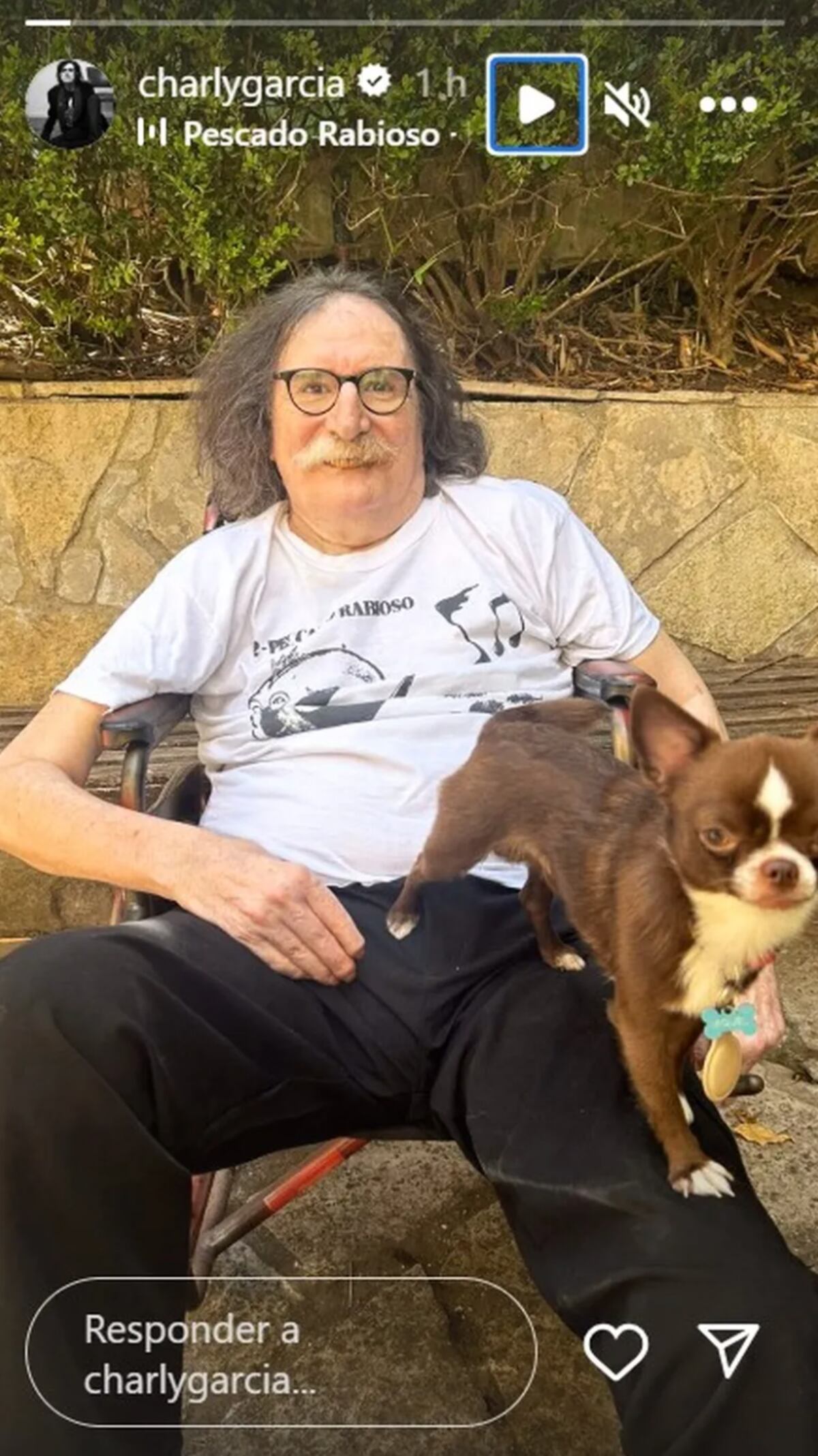 Charly García, uno de los músicos que "bancó" el trabajo realizado desde el INAMU. (Captura de pantalla).