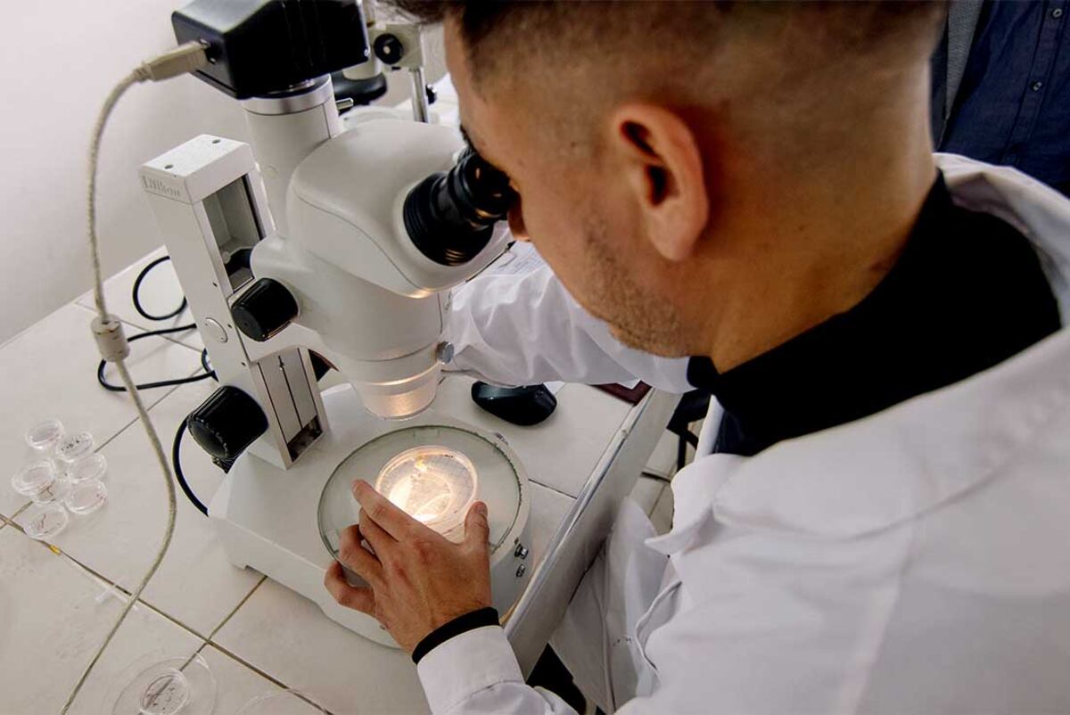 El programa “I-Teams” es co-organizado por el Ministerio de Ciencia y Tecnología, el Conicet Córdoba, la Universidad Nacional de Córdoba y Global Shapers Córdoba.