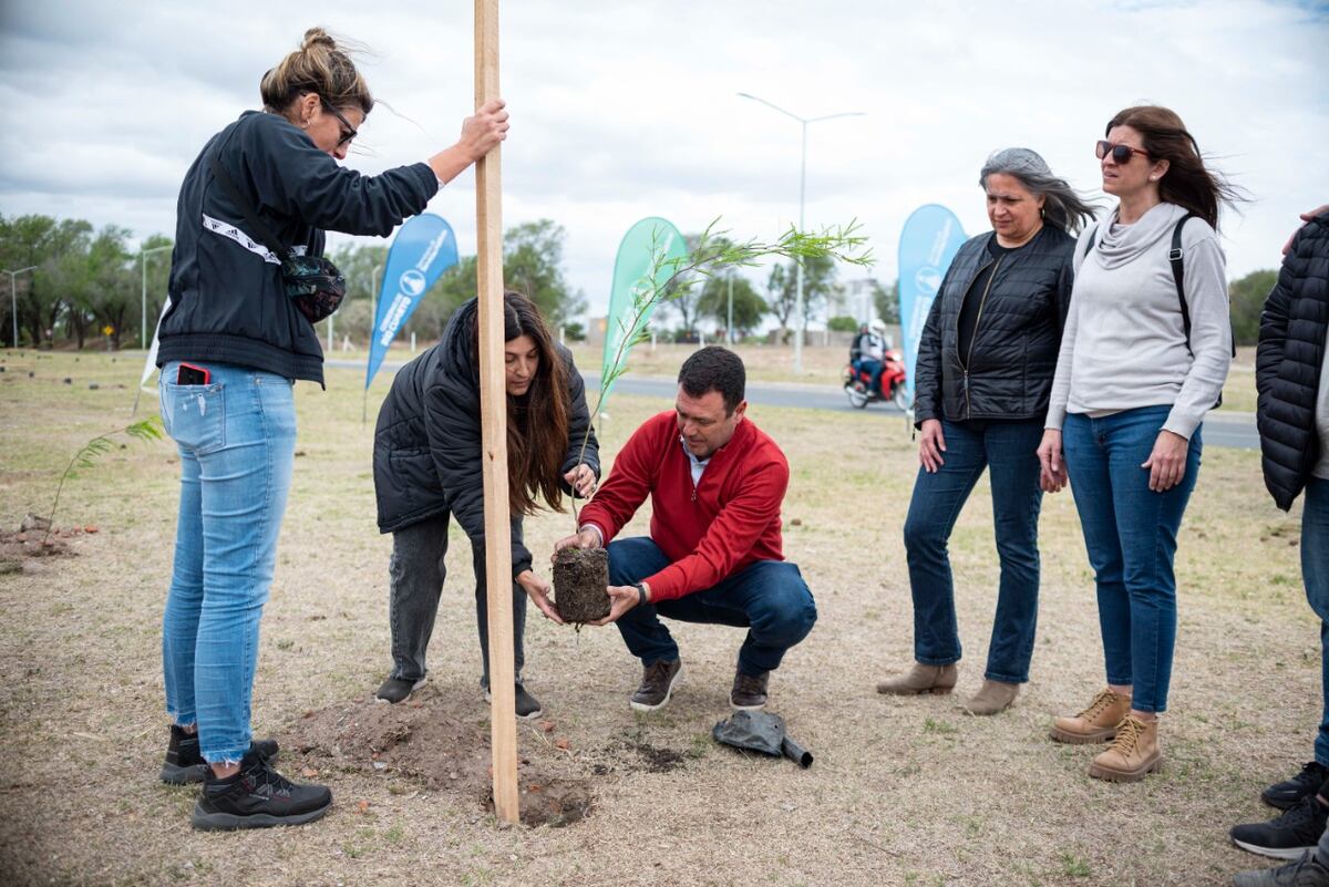 Río Cuarto. Plantación masiva de algarrobos en la Costanera Sur (Gentileza).