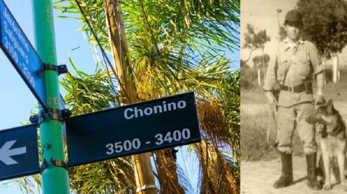 La conmovedora historia de Chonino, el can que dio origen al Día del Perro en Argentina