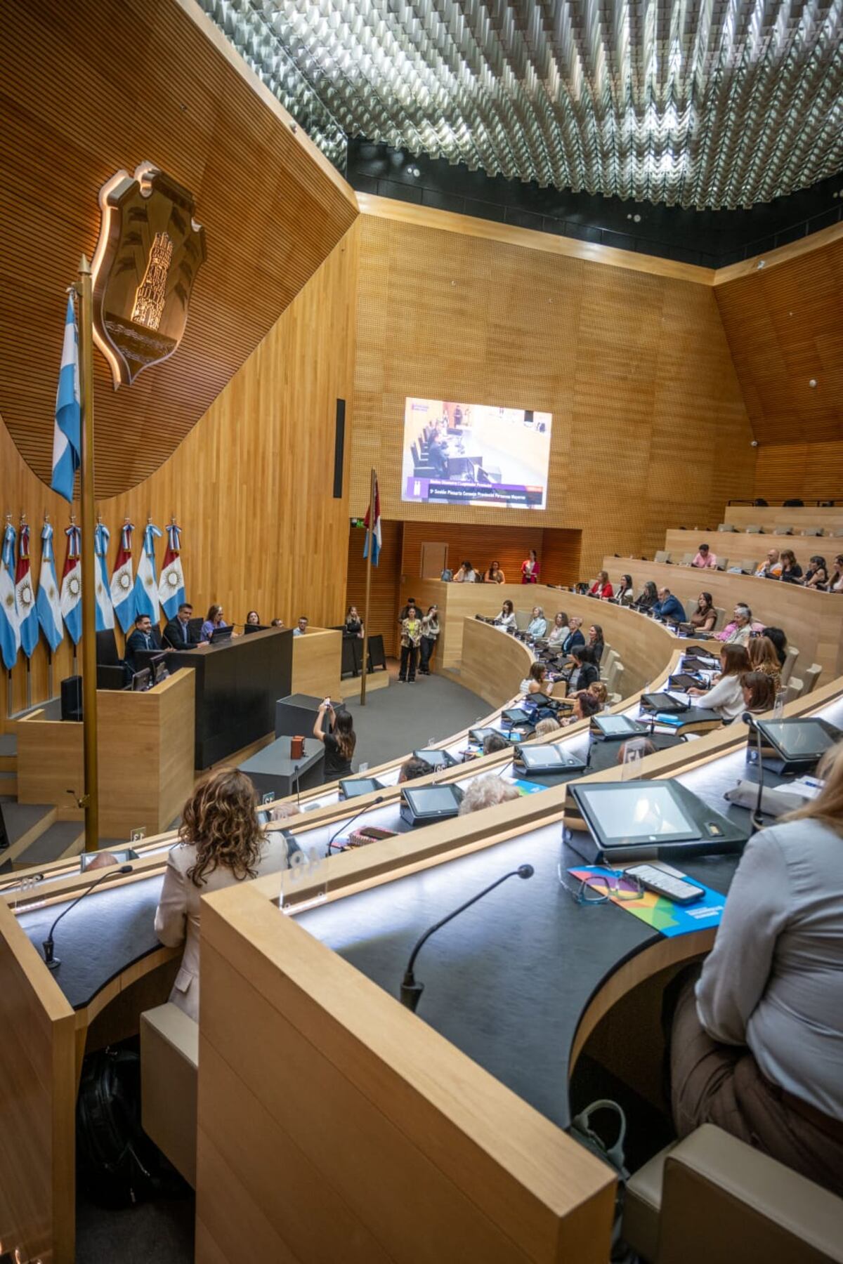 El Consejo Provincial de Personas Mayores advirtió sobre el “retroceso grave” en las políticas nacionales y reclamó medidas urgentes. (Gentileza)