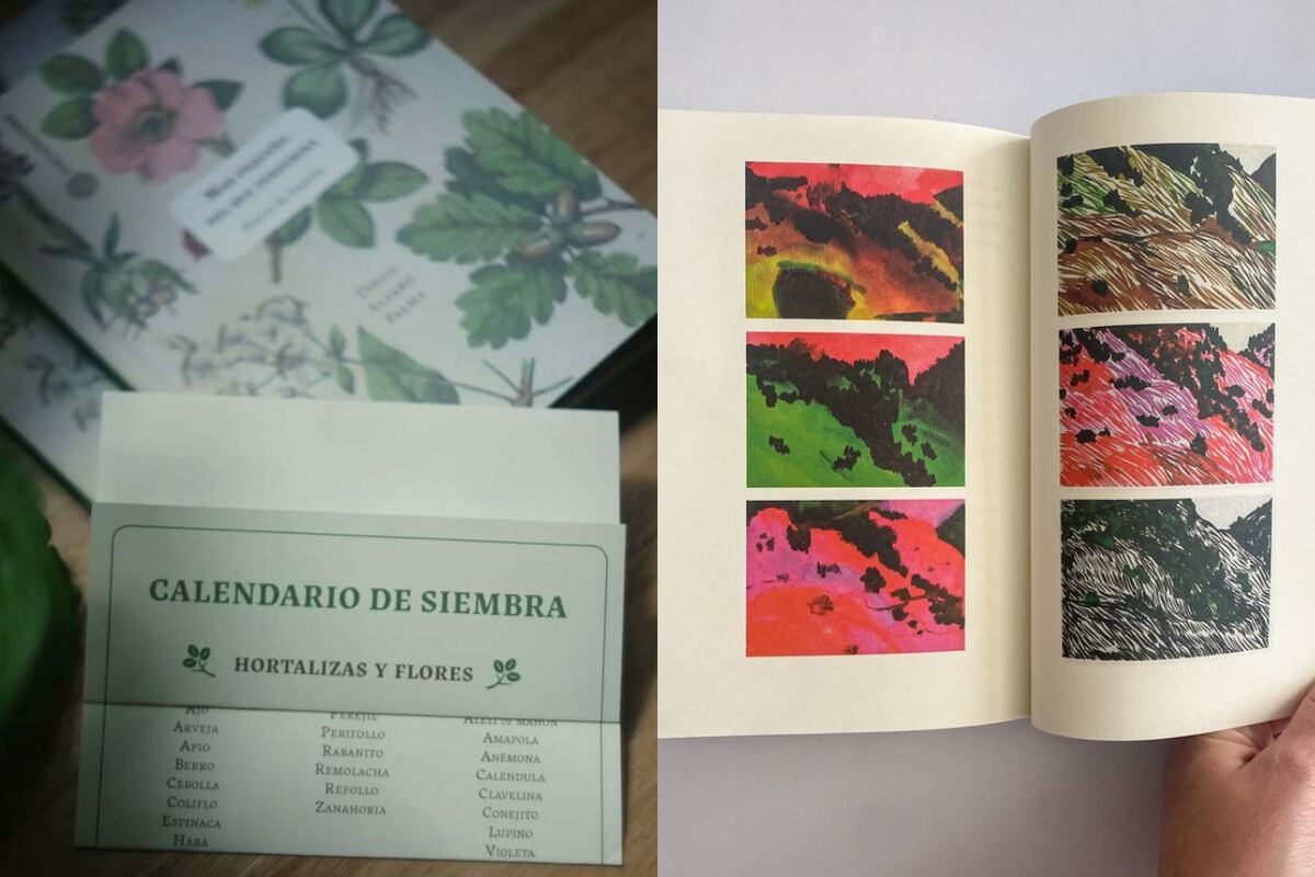 Libros expandidos: otra vuelta de página
