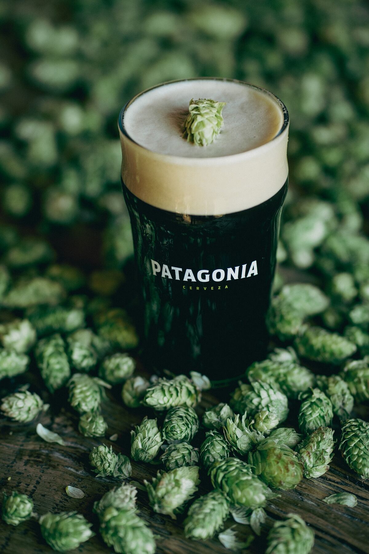 Black Ipa de Patagonia, una variedad nueva y por tiempo limitado.
