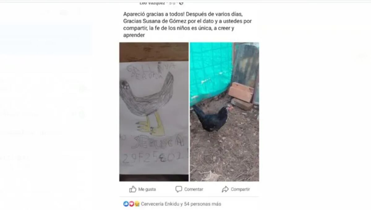 Clarita recuperó a su gallina gracias a los dibujos que hizo y repartió en su barrio.