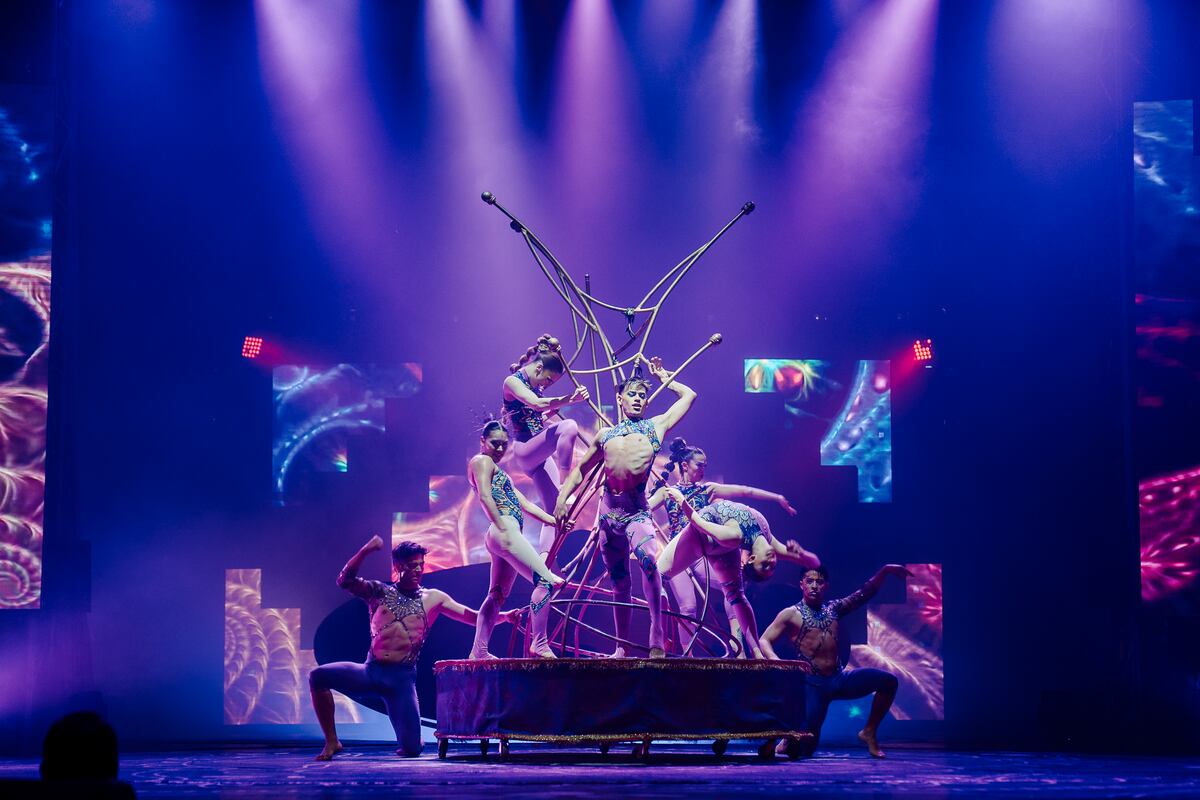 Espectáculo de Flavio Mendoza en Córdoba "El circo del ánima" (La Voz)