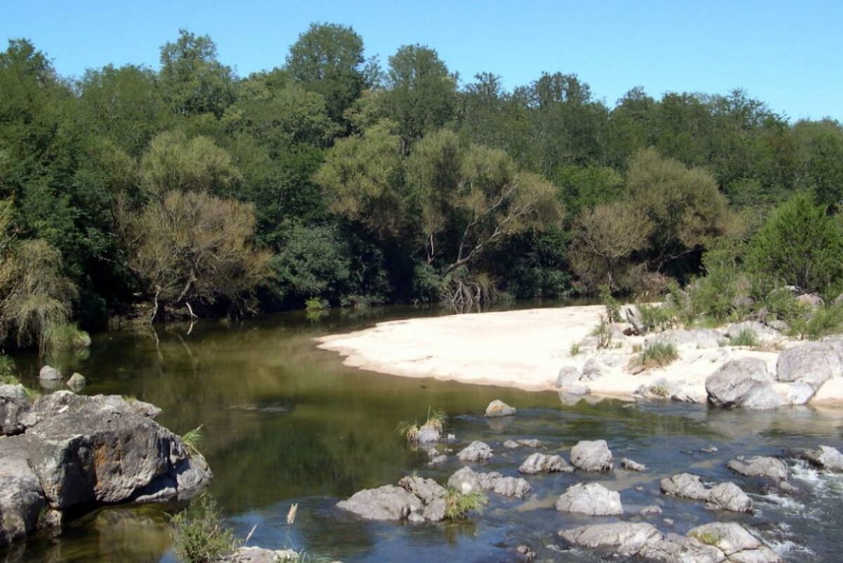 Rincón de mirlos, uno de los campings destacados de Córdoba. (Foto: Rincón de Mirlos)