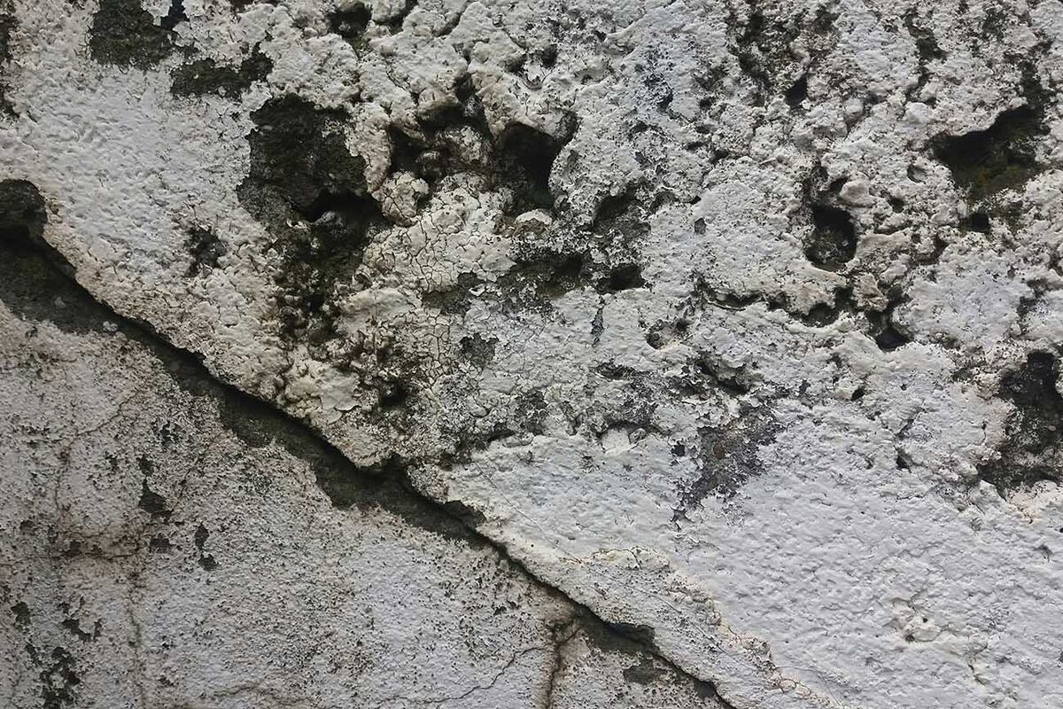 Combatir los hongos en paredes requiere un protocolo riguroso de limpieza, secado y aplicación de la pintura.