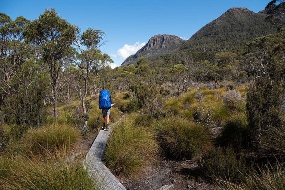 La isla de Tasmania es un paraíso tropical. (Foto / piqsels)