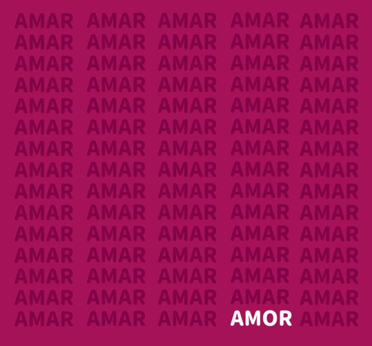 La solución del acertijo.