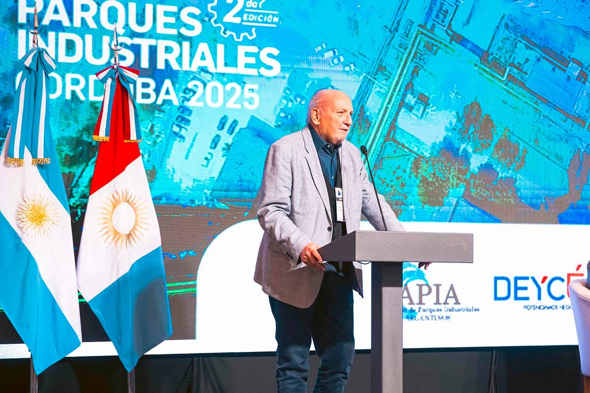 Rodolfo Games, presidente de la Asociación de Parques Industriales Argentinos (Apia), durante su exposición.