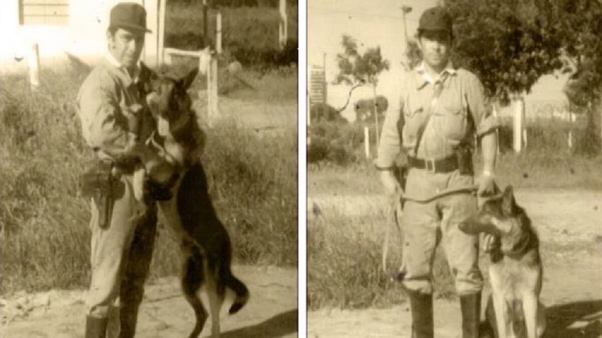 Chonino, el can que dio origen al Día del Perro en Argentina. (Gentileza Infobae)