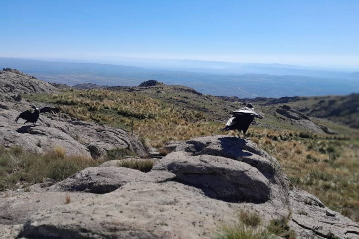 Pocha y Rosita en Quebrada del Condorito. (Parque)