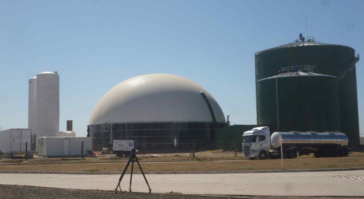 Industria. La empresa BIO 4, en Río Cuarto, una de las plantas bioetanol de maíz más grandes del país. (La Voz / Archivo)