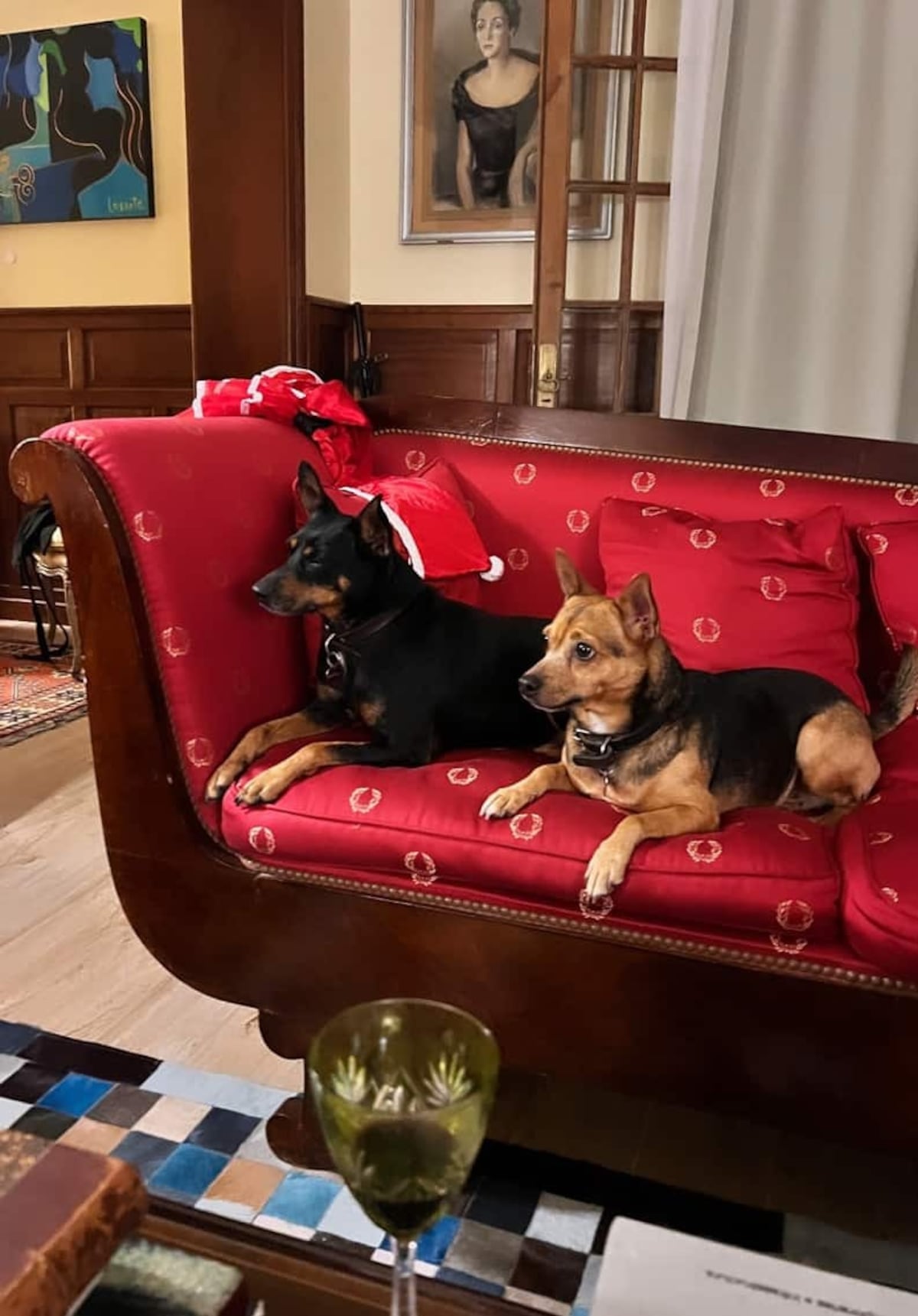 Robertito Funes Ugarte: descubrí su casa de campo en Buenos Aires, el refugio vintage adaptado para sus 10 perros rescatados