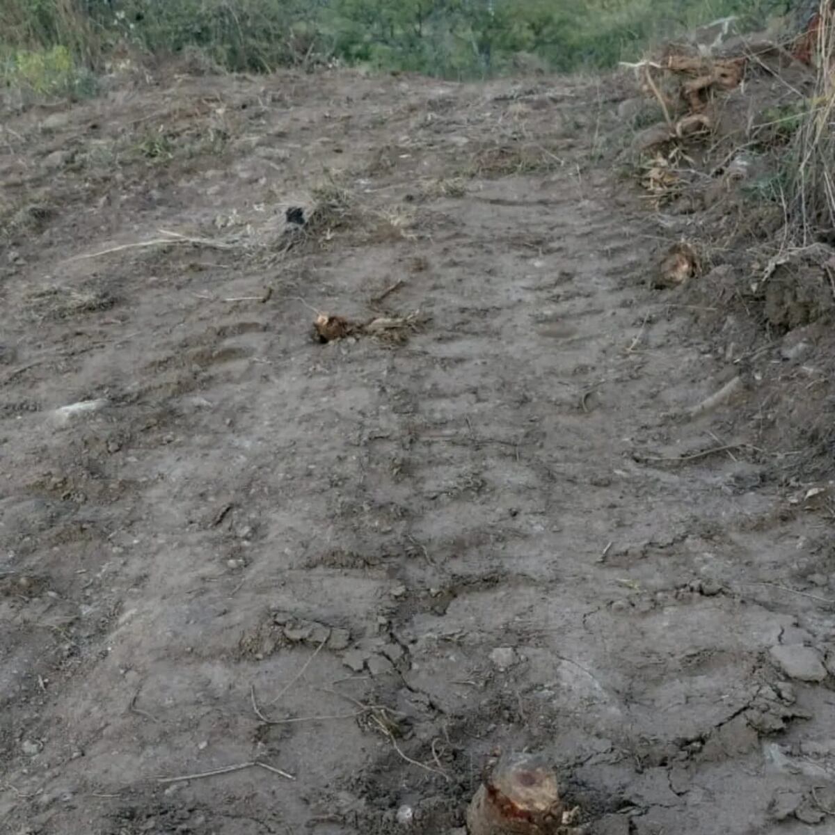 Villa Cañada del Sauce. Una de las calles que se abrieron de forma ilegal (Gentileza).